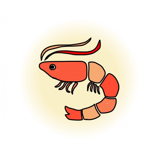 えび・いか