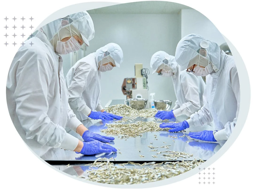 創業以来変わらぬ「誠実なものづくり」の姿勢